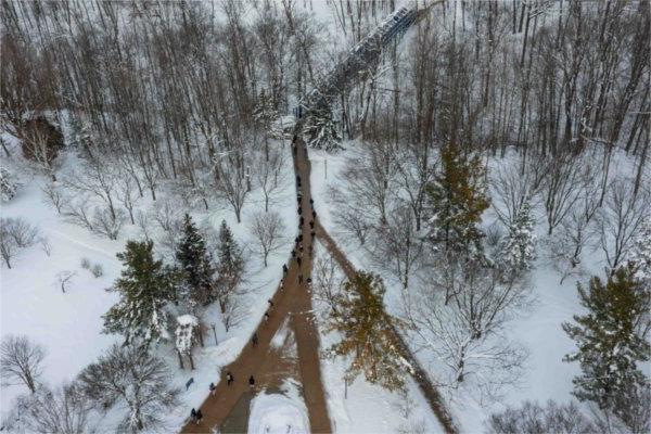  As seen from a drone, students walk through trees and sidewalks of a snowy college campus. 