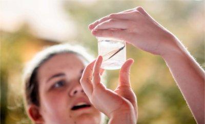 Careerline Tech Center student Lucy Berghorst inspects an aquatic macroinvertebrate specimen during the Groundswell Stewardship Initiative student project showcase.