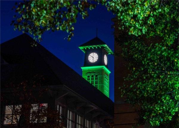  A carillon tower is lit green in honor of Veterans Day.