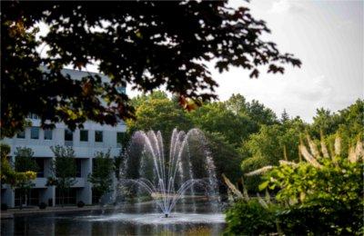 A fountain on a college campus is seen through green foliage.