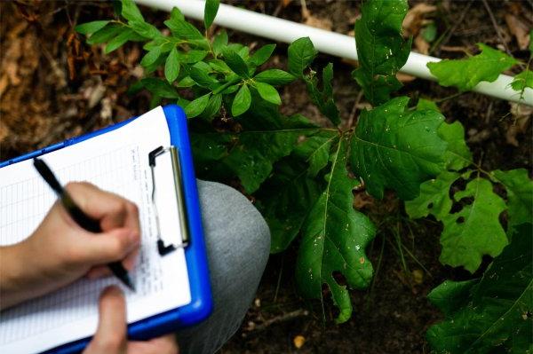 A person writes on a clipboard resting on their knees while kneeling. They are kneeling in front of a plant. Only the person's hands and knees are visible.