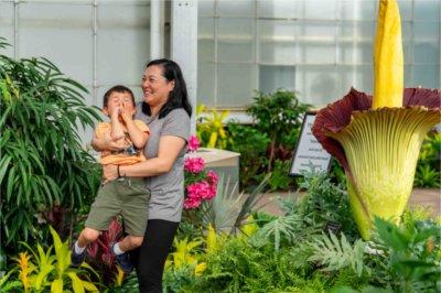 Mother and child react to a smelly corpse flower.