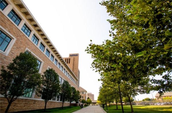 exterior photo of Seidman Center with sidewalk through center and green, full trees on left