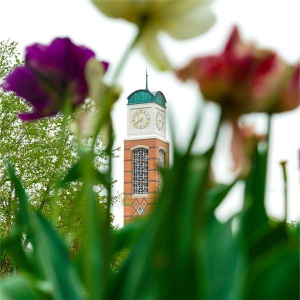 A carillon tower is photographed through colorful purple, pink and white flowers.