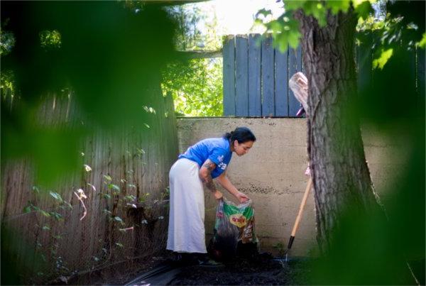  A college student wearing a blue shirt does yard work among trees.  