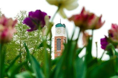 A carillon tower is photographed through colorful purple, pink and white flowers.