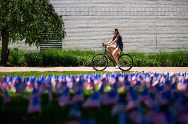  A person rides a bike past a lawn-full of small American flags. 