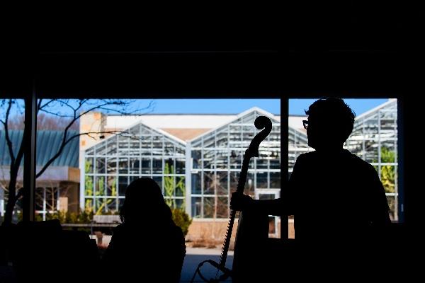 A cello player is silhouetted against a window with greenhouses in the background. 