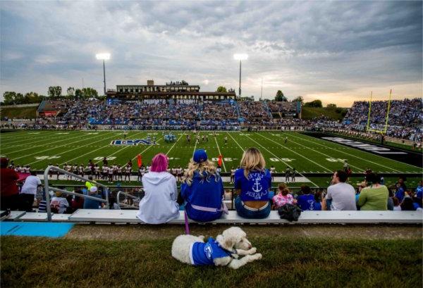  A service dog wearing a blue shirt sits behind fans watching a football game in a college stadium. 