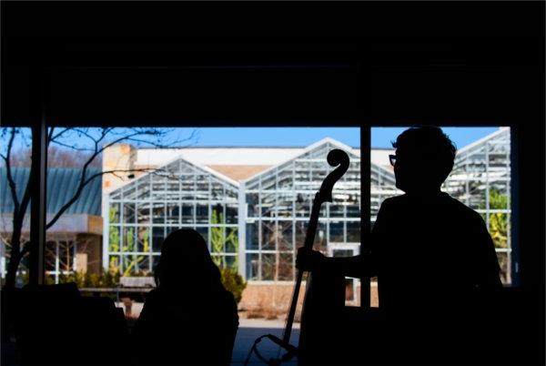  A cello player is silhouetted in front of a greenhouse. 