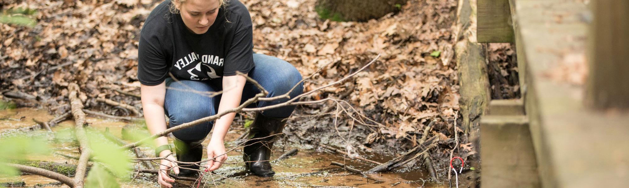 GVSU student doing research in a ravine.