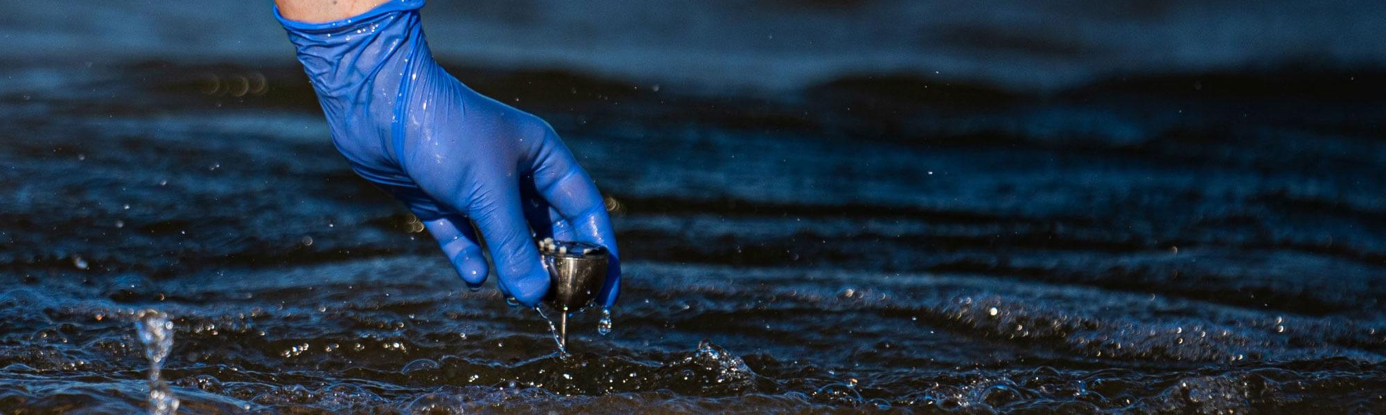 Water sample from Lake Michigan.